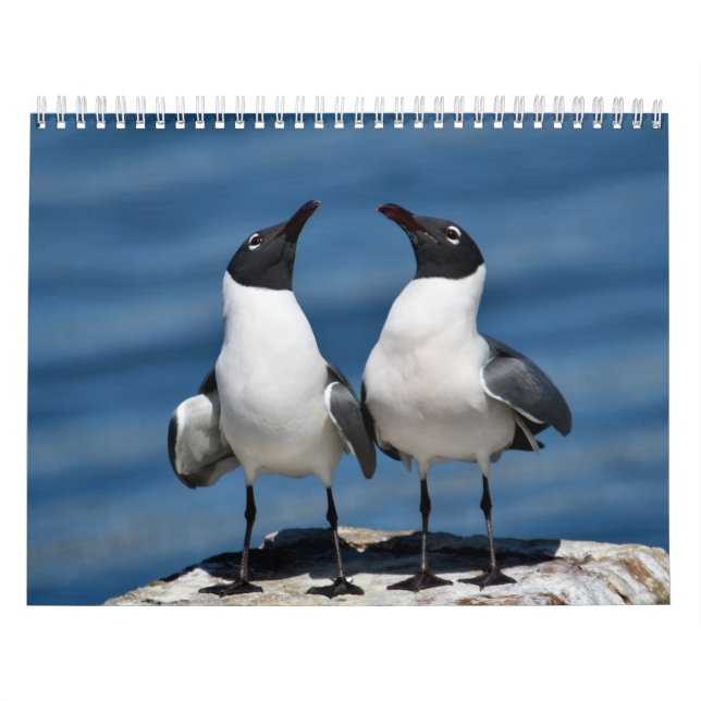 Naturkalender 2026 kalender (Titelbild)