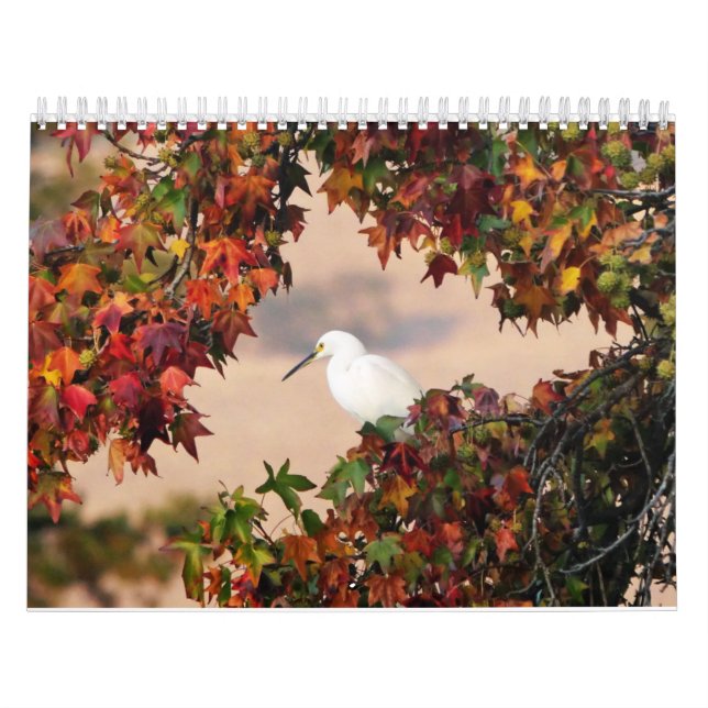 Naturkalender Kalender (Titelbild)