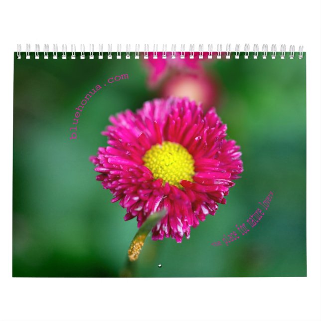 Naturkalender Kalender (Titelbild)