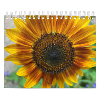 Naturkalender Kalender