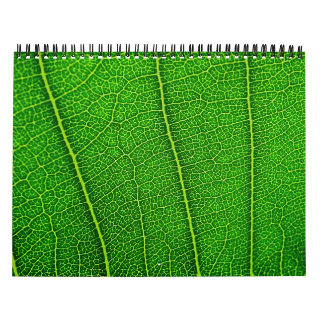 Naturkalender Kalender (Titelbild)