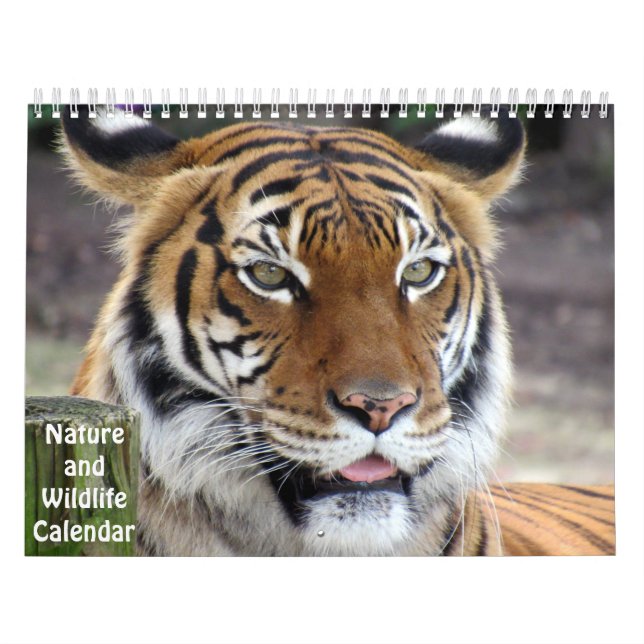 Naturkalender und Naturzeitplan Kalender (Titelbild)