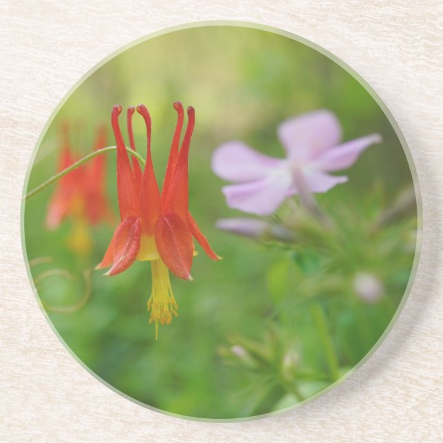 Naturkrone Untersetzer (Vorne)