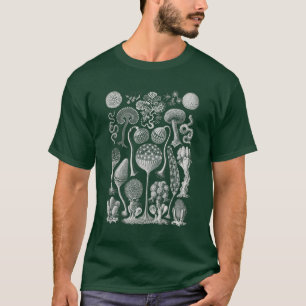 Naturkundeformen, Haeckel-T - Shirt
