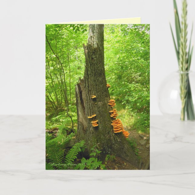 Naturkunst: Beartown Staat Forest - Zitat im Inner Karte (Vorderseite)