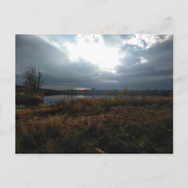 Naturland Postkarte (Vorderseite)