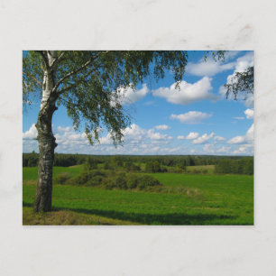 Naturlandschaft Birch Belarus Postkarte