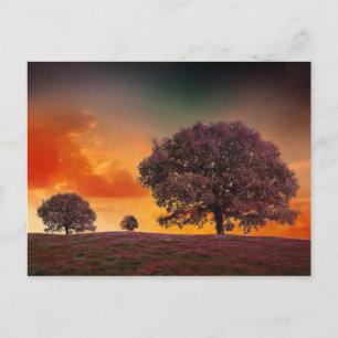 Naturlandschaft des bunten Himmels der Bäume Postkarte