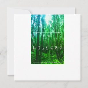Naturlandschaft Forest Belarus Flachkarte