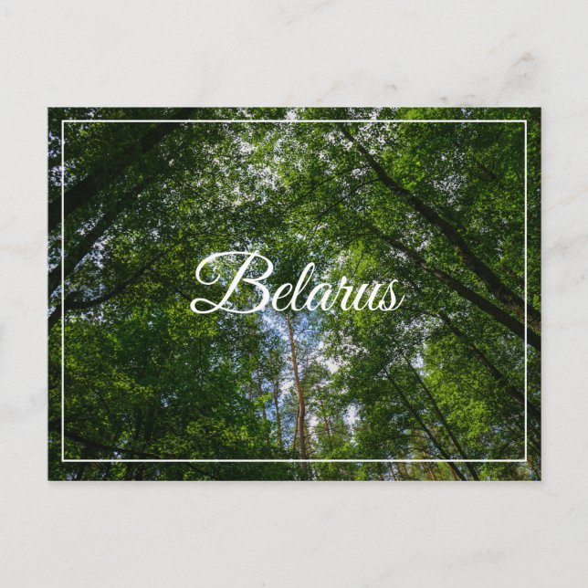Naturlandschaft Forest Belarus Postkarte (Vorderseite)