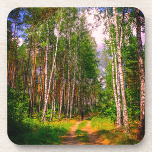 Naturlandschaft Forest Birch Weißrussland Getränkeuntersetzer