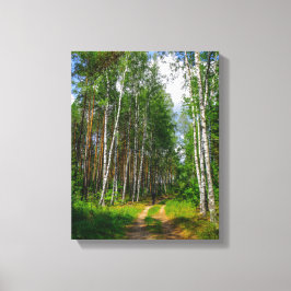 Naturlandschaft Forest Birch Weißrussland Leinwanddruck