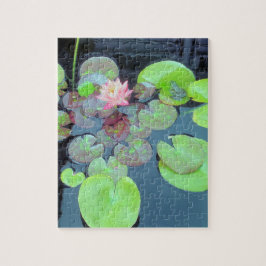 Naturlandschaft - Frosch- und Lily-Pads