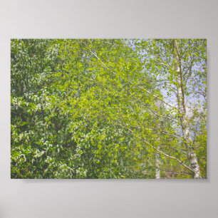 Naturlandschaft Landschaft Landschaft Landschaft B Poster