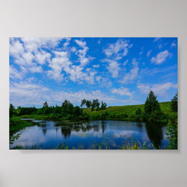 Naturlandschaft Landschaft Trees Belarus Plakat (Vorne)