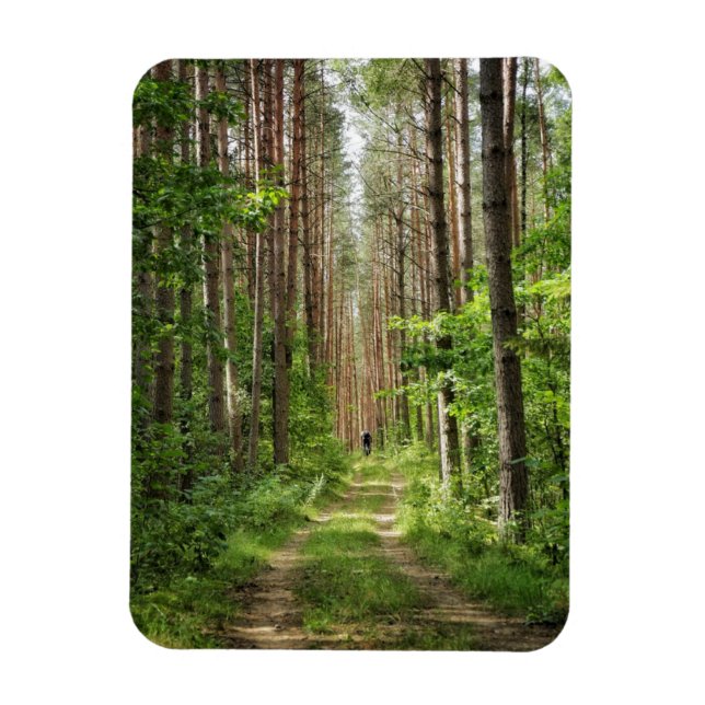 Naturlandschaft Landschaft Wälder Bäume Weißrussla Magnet (Vertikal)