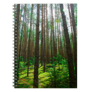Naturlandschaft Landschaft Wälder Bäume Weißrussla Notizblock