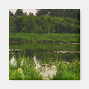Naturlandschaft Landschaftslandschaft Waldteich Magnet