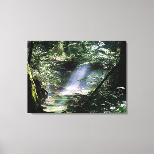 Naturlandschaft Sonnenlicht durch Bäume auf dem Ba Leinwanddruck