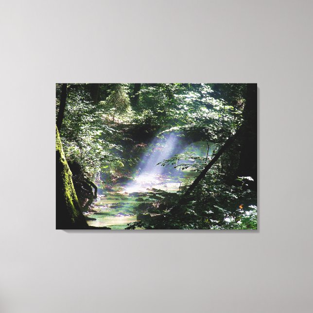 Naturlandschaft Sonnenlicht durch Bäume auf dem Ba Leinwanddruck (Vorderseite)