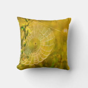 Naturlandschaft Spider Spiderweb Sonnenlicht Kissen