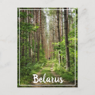 Naturlandschaft Wald Radfahren Weißrussland Postkarte