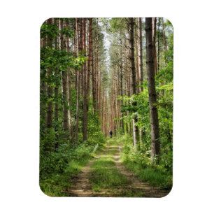 Naturlandschaft Wälder Belarus Magnet