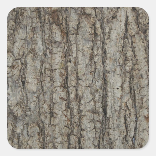 Natürliche Baumrinde Camouflage Camouflage Rustika Quadratischer Aufkleber (Vorderseite)