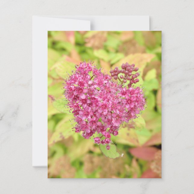 Natürliche Blume Herz - durchbohrt von Pfeil. Karte (Vorderseite)