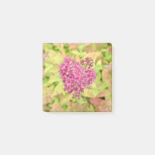 Natürliche Blume Herz - durchbohrt von Pfeil. Post-it Klebezettel