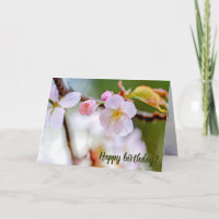 Natürliche Blumenzusammensetzung von Sakura-Blume