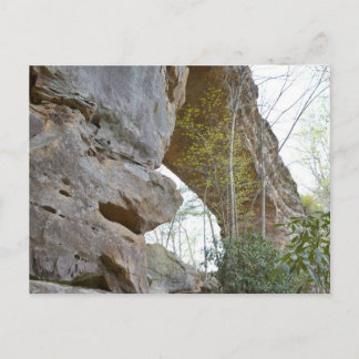 Natürliche Brücke Kentucky Postcard Postkarte