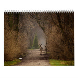 Natürliche Einflussfotografie 2016 Kalender