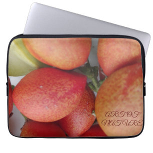Natürliche Fruchtkunst Geschenk der Töchter Tag Va Laptopschutzhülle