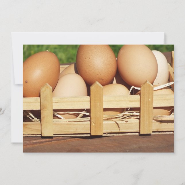 natürliche Hühnereier nach Ländern (Vorderseite)