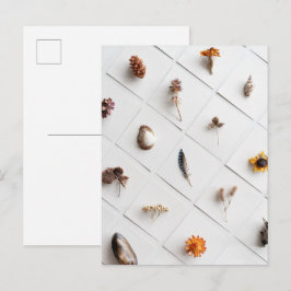 Natürliche Probensammlung Minimalist Postkarte