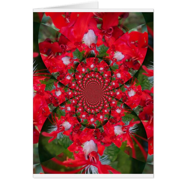 Natürliche Rote Blume Weiße Feder Kaleidoskop Kuns (Vorne)