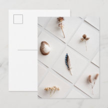 Natürliche Spezimensammlung Minimalist