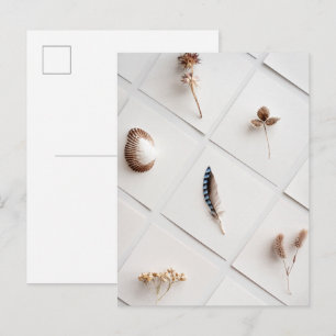 Natürliche Spezimensammlung Minimalist Postkarte