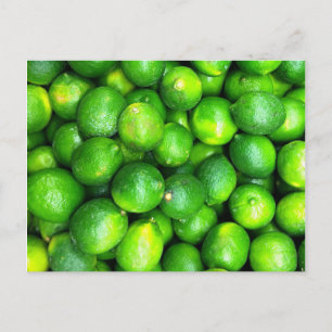 Natürliche Texturen - Limes Postkarte