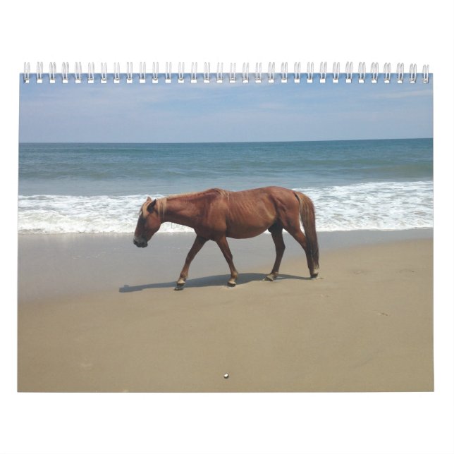 Natürliche Umgebungskalender Kalender (Titelbild)