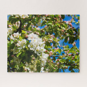 Natürliche weiße Blumen