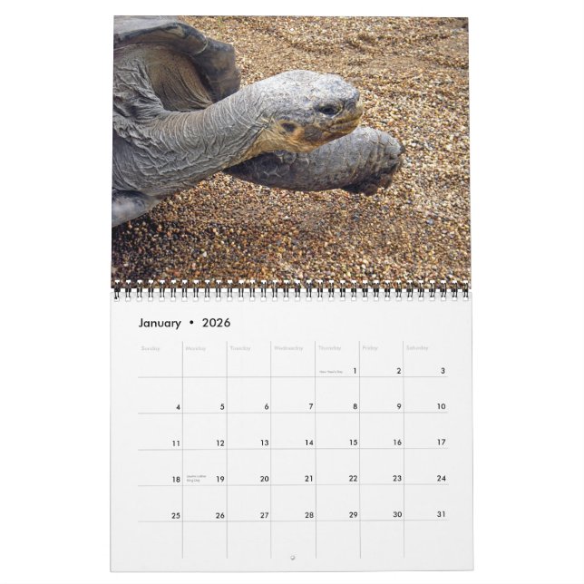 Natürliche Wunder von Australien-Kalender Kalender (Jan 2026)