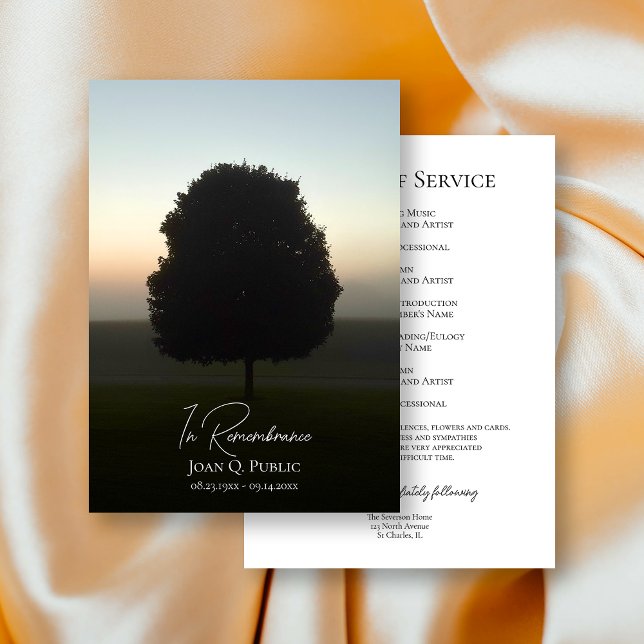 Natürlicher Baum bei Sonnenaufgang Programm (Von Creator hochgeladen)