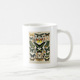Natürlicher History Butterfly Kaffeetasse