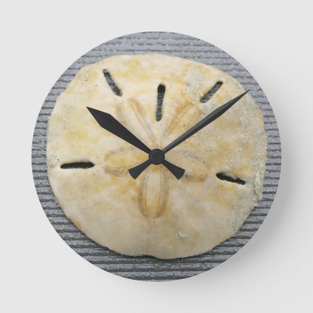 Natürlicher Sand Dollar Runde Wanduhr (Vorderseite)
