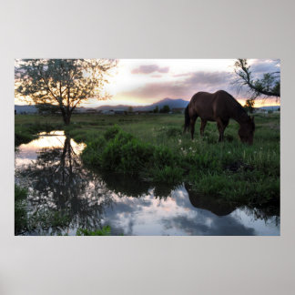 Natürlicher Sonnenuntergang Poster