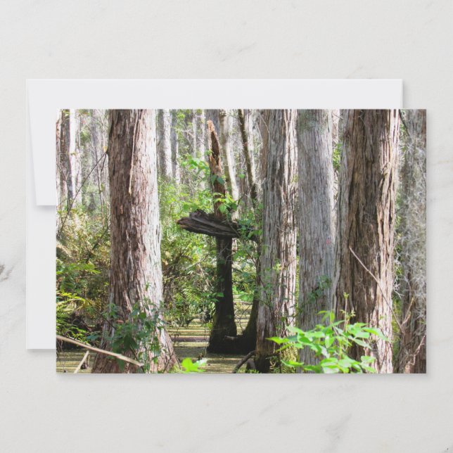 Natürliches Kreuz in der Swamp-Flachkarte Karte (Vorderseite)