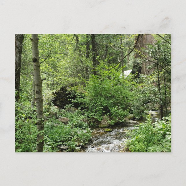 Naturpostkarte Postkarte (Vorderseite)