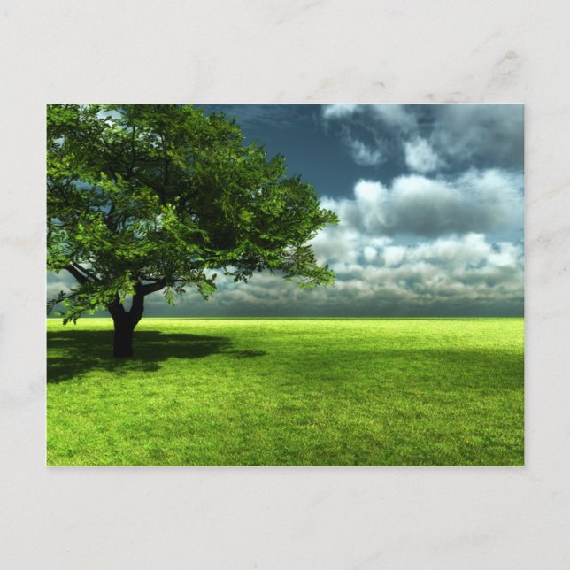 Naturpostkarte Postkarte (Vorderseite)